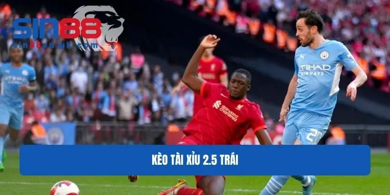 Cách đọc O/U 2.5 trái Cách đọc O/U 2.5 trái